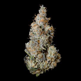 Triple Burger 3.5G