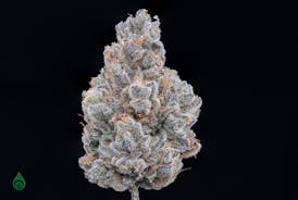 GDL Black Label Flower (3.5g) | Bicycle Day