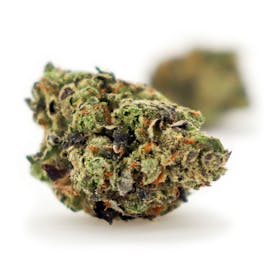 Jelly Donutz 3.5g