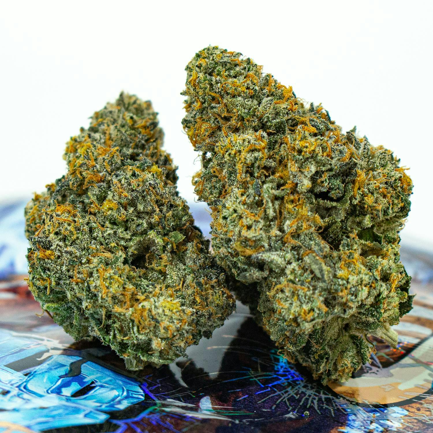 TEDS BUDZ — Mint