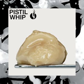 Gastro Belts Live Rosin Badder (1g)