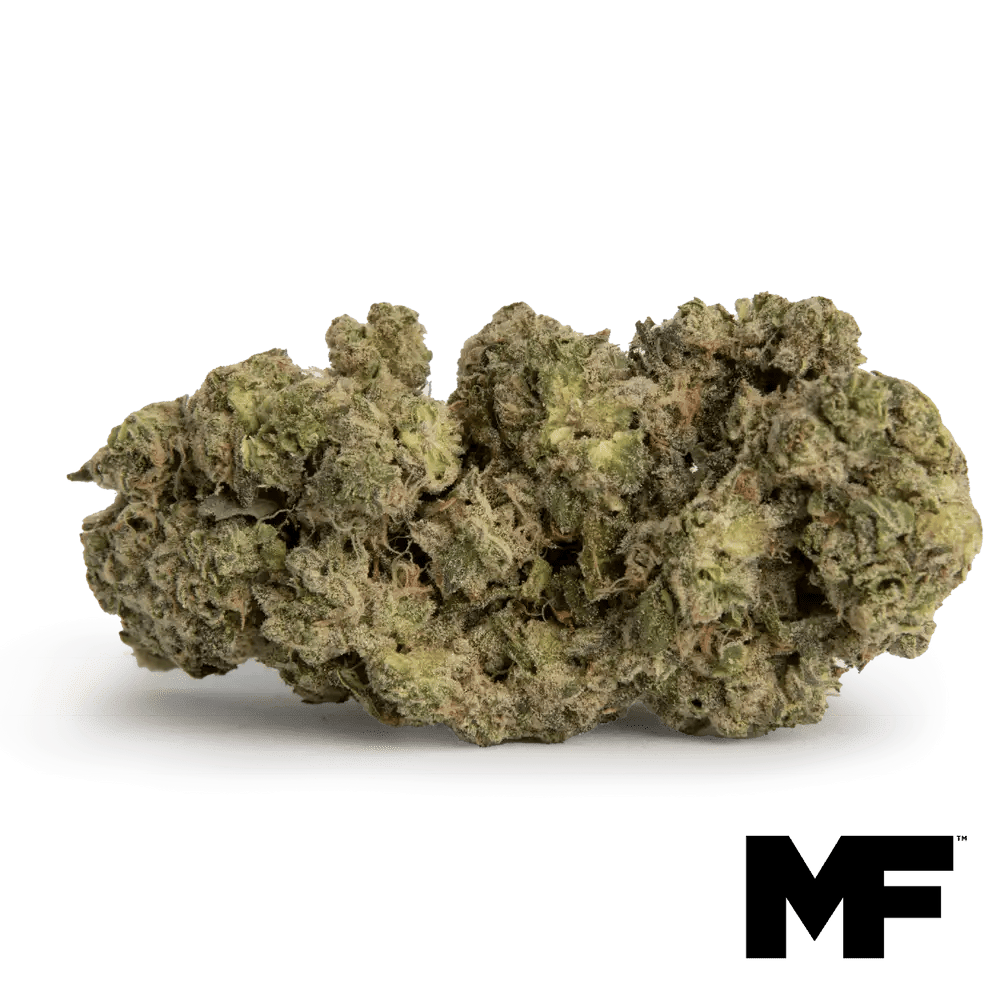 Modern Flower | Space Age Cake | Big Buds | 3.5g by Modern Flower