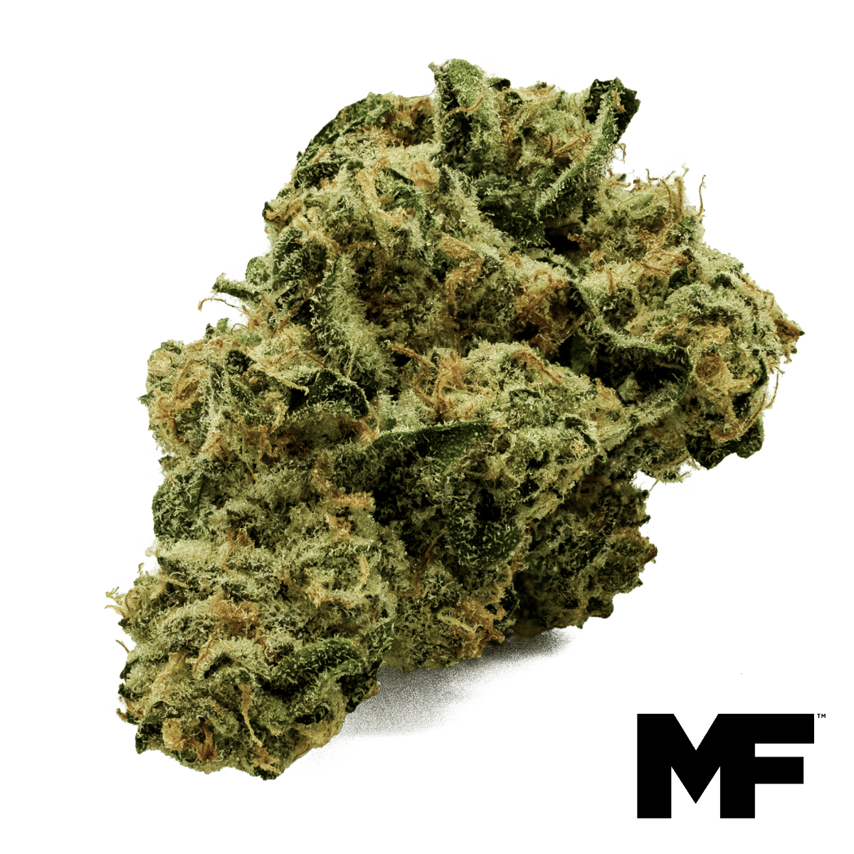 Modern Flower | LA Kush Cake | Big Buds | 3.5g by Modern Flower