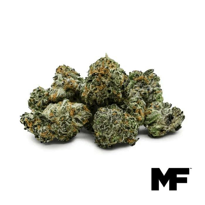 Modern Flower | Hippie Crasher | Smalls | 3.5g