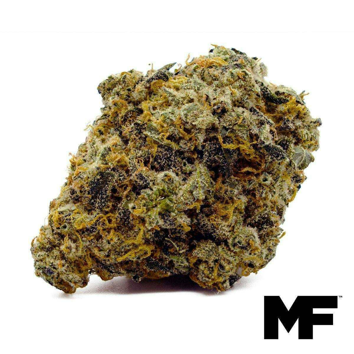 Modern Flower | Pineapple Upside Down Cake | Big Buds | 3.5g by Modern Flower