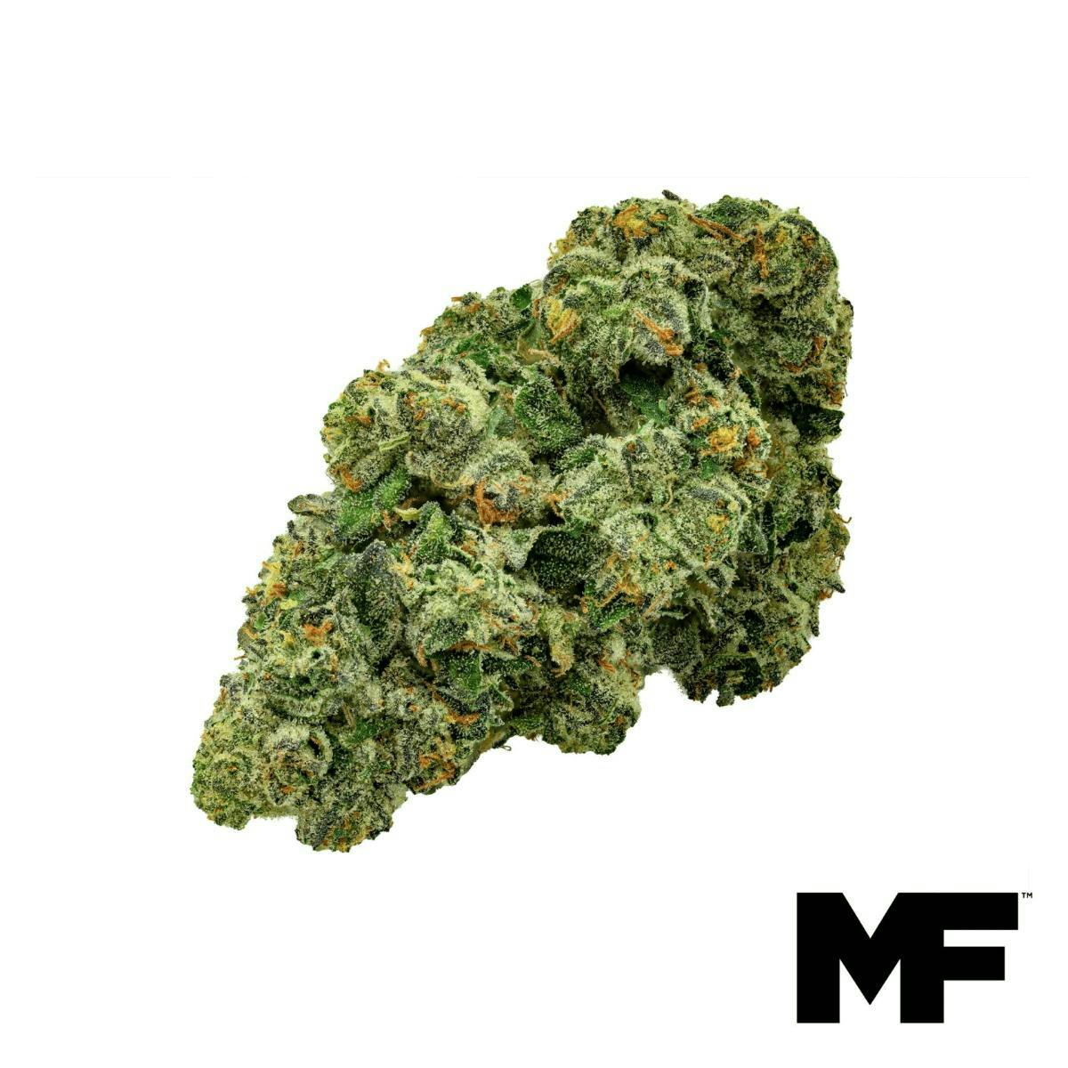 Modern Flower | Grape Gasoline | Big Buds | 3.5g at Trulieve Bisbee Dispensary
