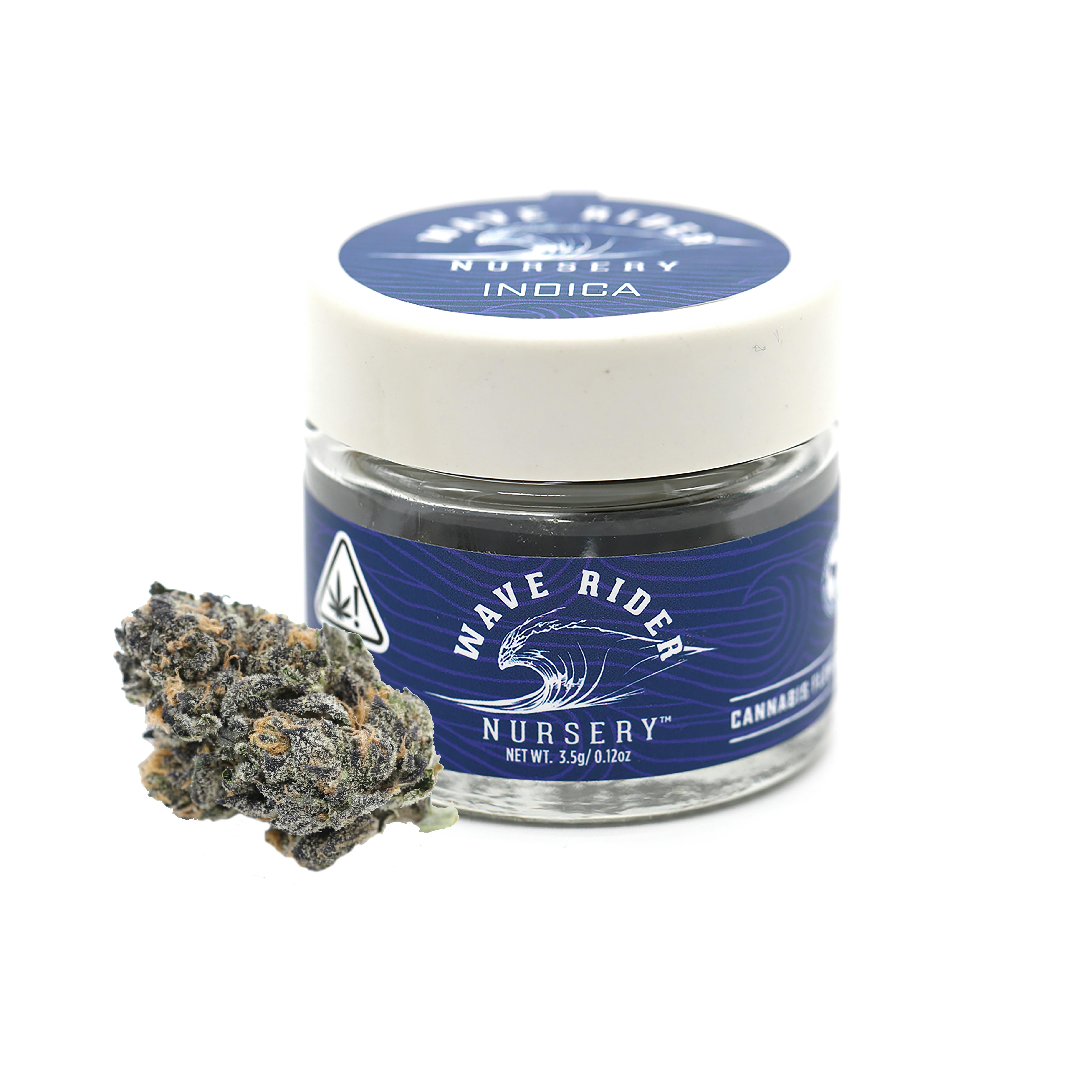 RS11 Wave Rider Nursery