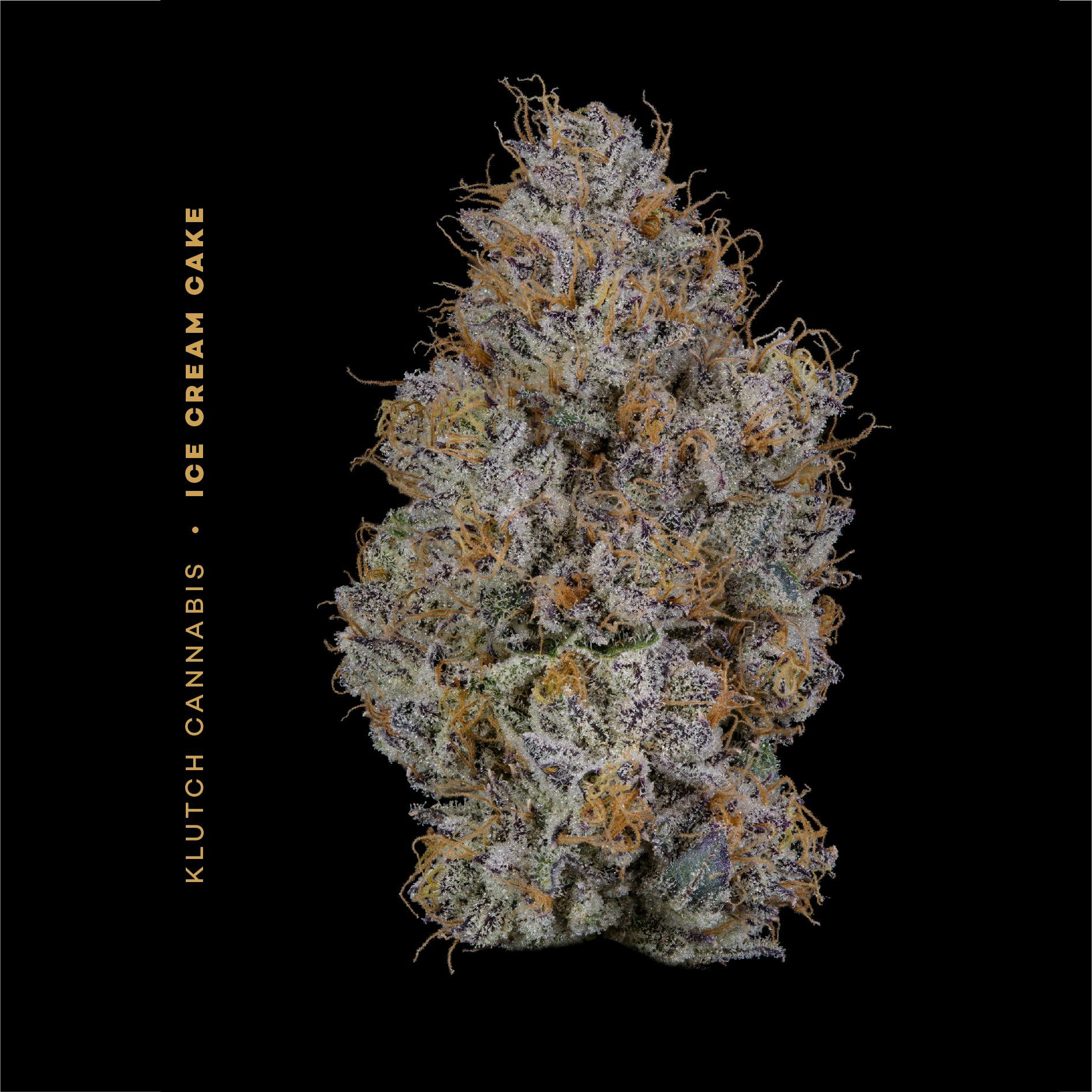 Ice Cream Cake - Flower 14.15g by Klutch Cannabis