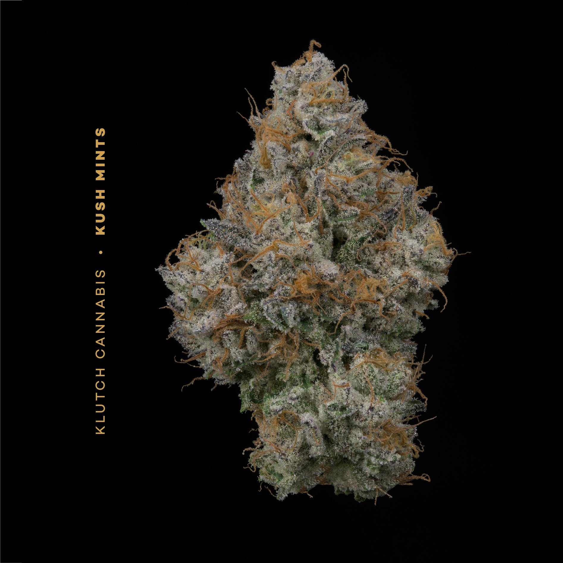 Kush Mints - Flower 14.15g by Klutch Cannabis