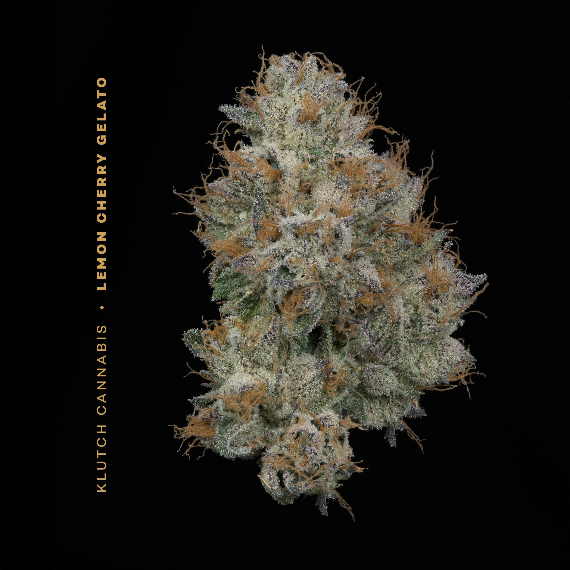 Lemon Cherry Gelato - Flower 2.83g by Klutch Cannabis