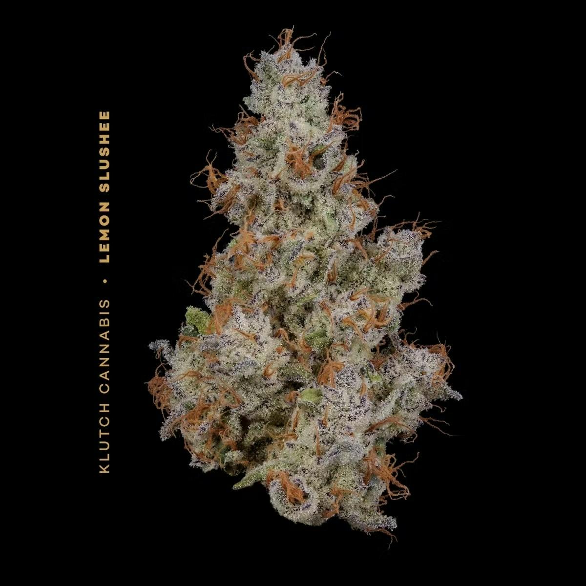 Lemon Slushee Flower 14.15g