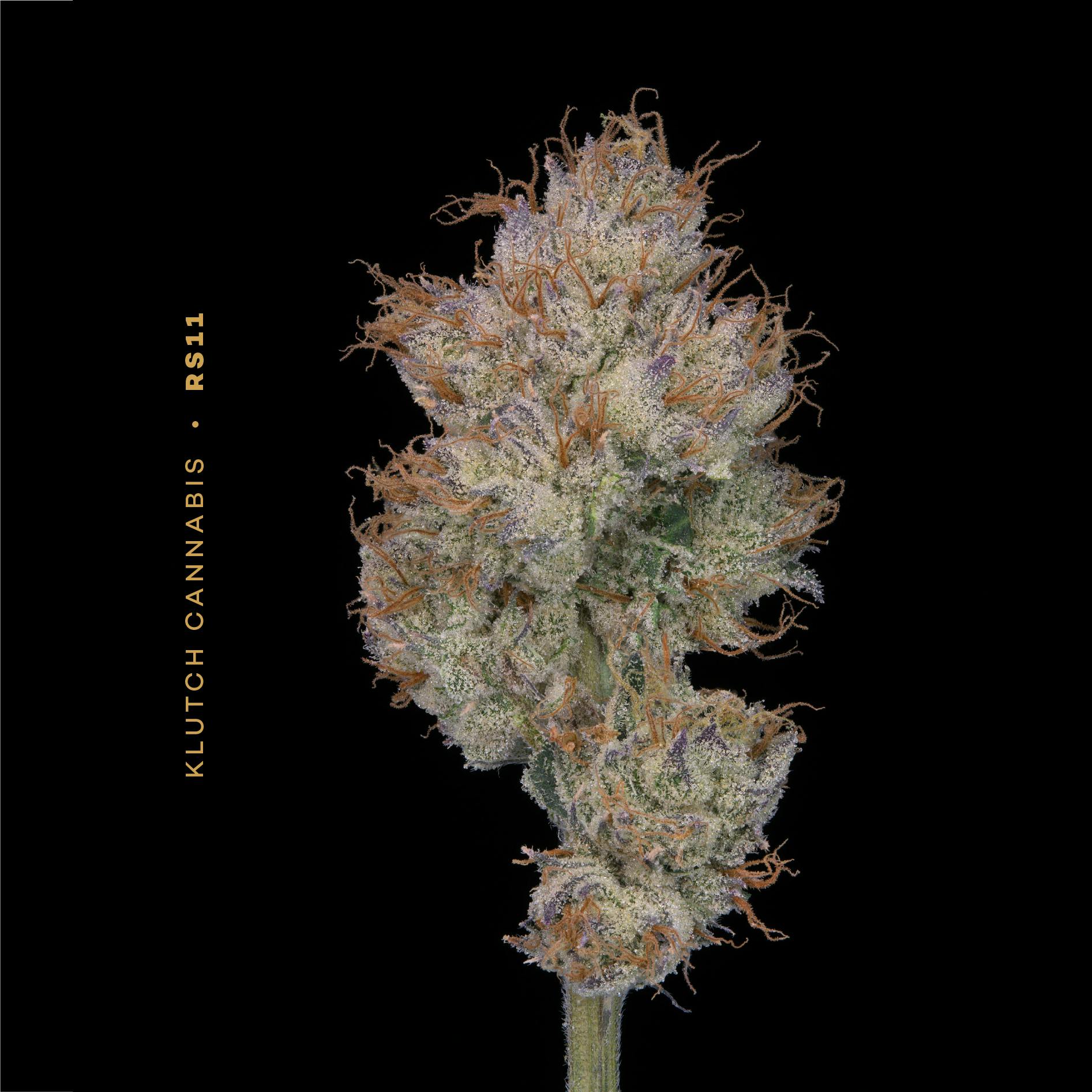 RS11 - Flower 14.15g by Klutch Cannabis
