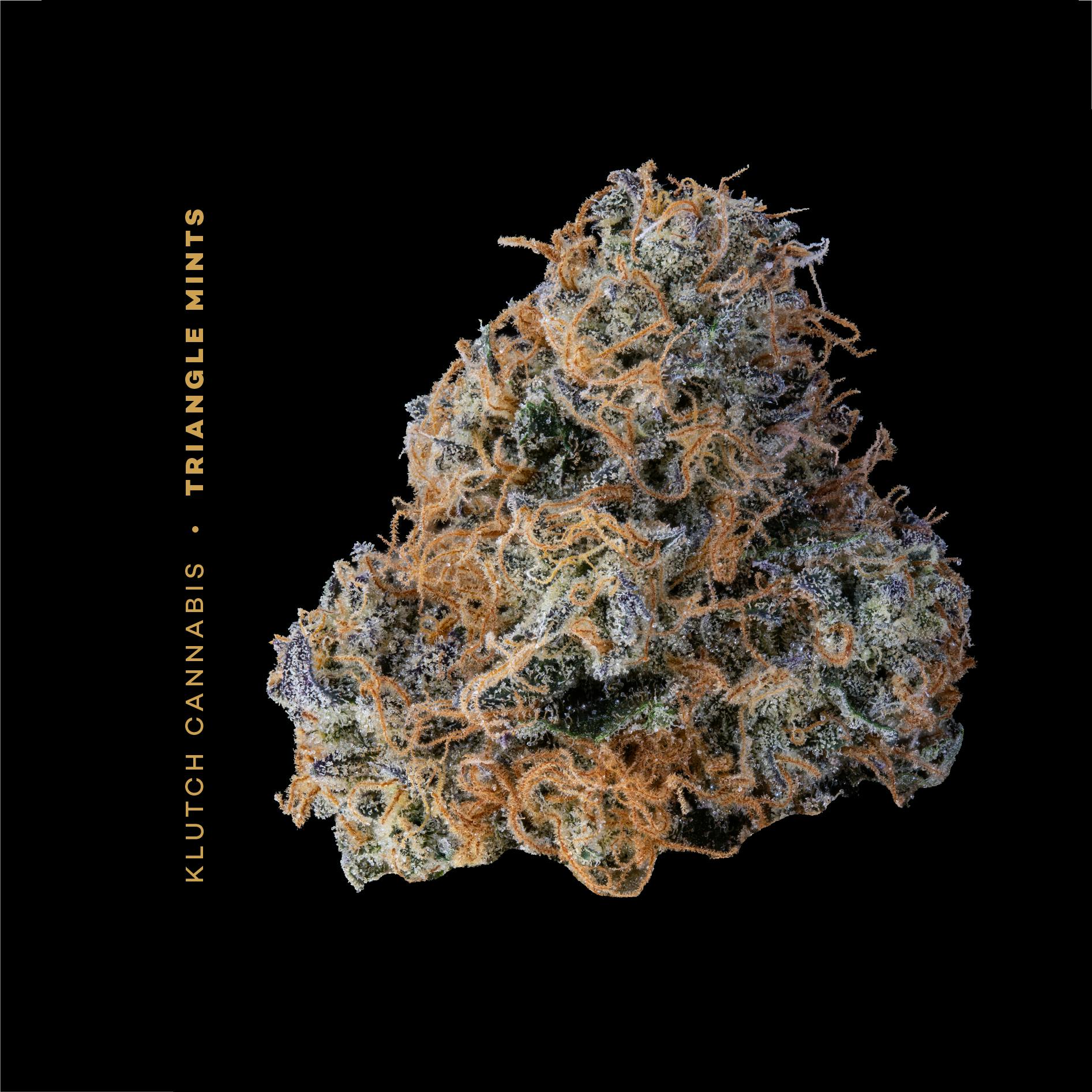 Triangle Mints - Flower 2.83g - Klutch Cannabis