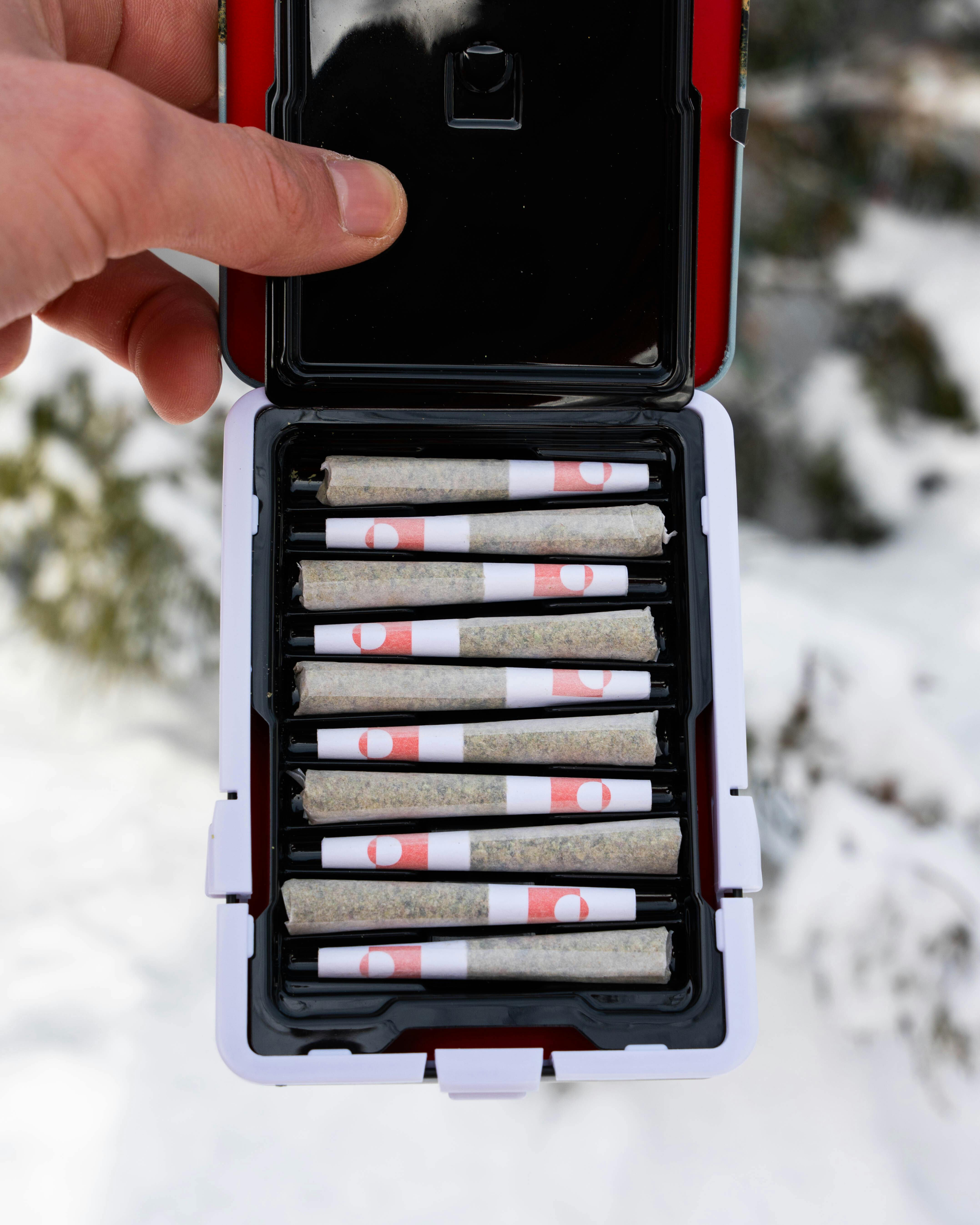 Mimosa⭐︎ mimosa-x-orange-barneys-farm.jpg