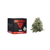 Ember Valley | Purple Lightsaber | 3.5G
