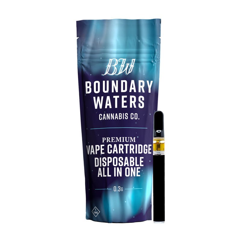 Mint Chip Ice Cream Disposable