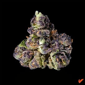 Purple Churro Flower | 3.5G