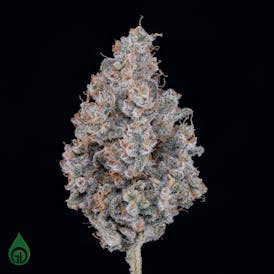 GDL Black Label Flower (7g) | Cherry Lime Soda