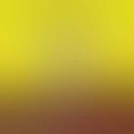 Toasted and Roasted- 200MG Hash Rosin Chocolate Cups - Covert Cups - REC