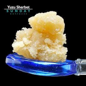 1g Concentrate Yuzu Sherbet