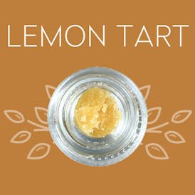 Lemon Tart - 1 Gram Sugar