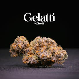 LIVE IT BUDS | GELATTI