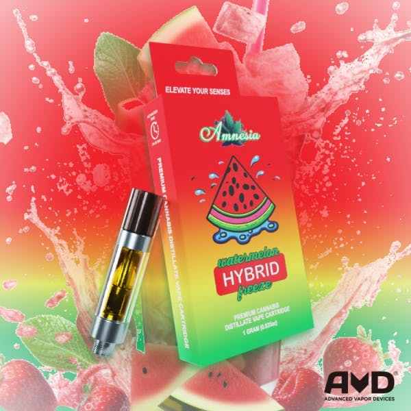 Amnesia MI | Watermelon Freeze | Cartridge | 1g by Amnesia MI