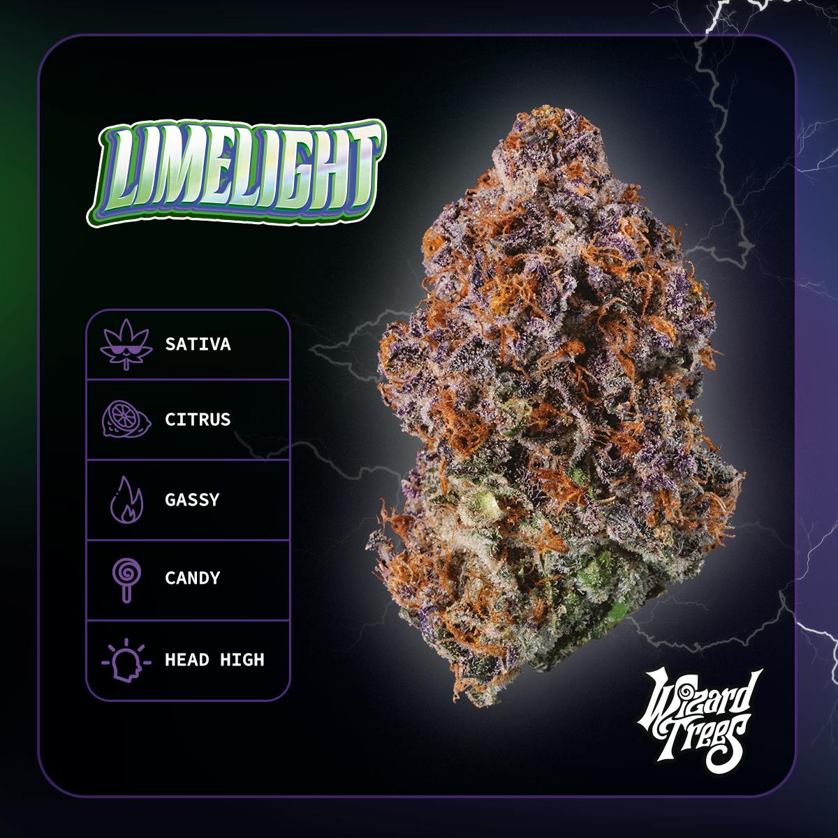 WIZARD TREES — Limelight