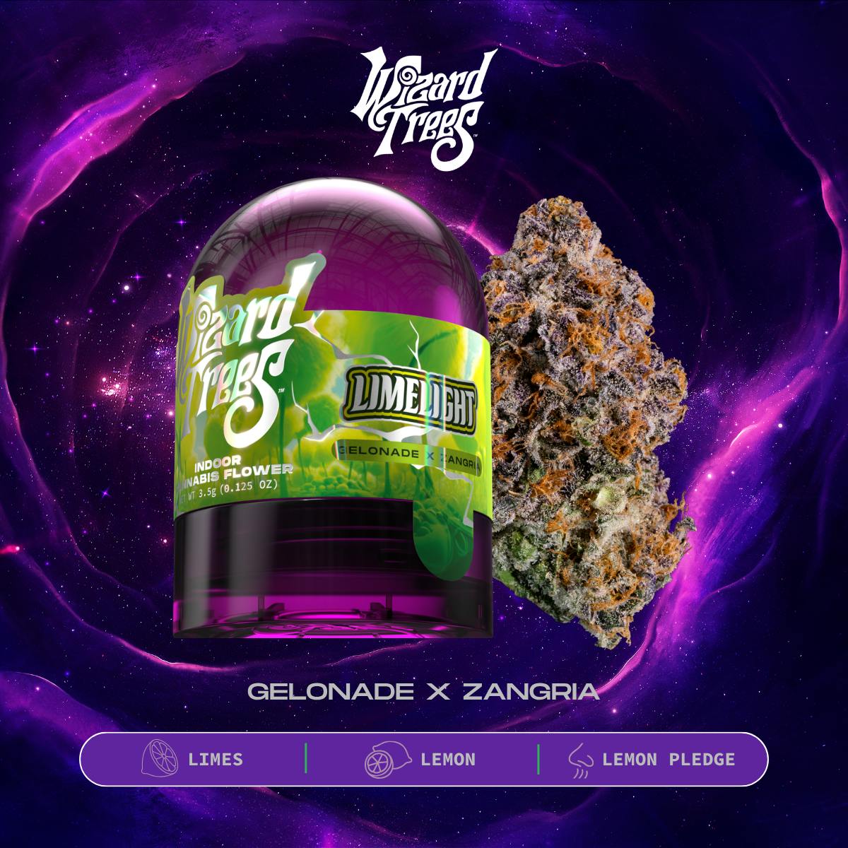 WIZARD TREES — Limelight