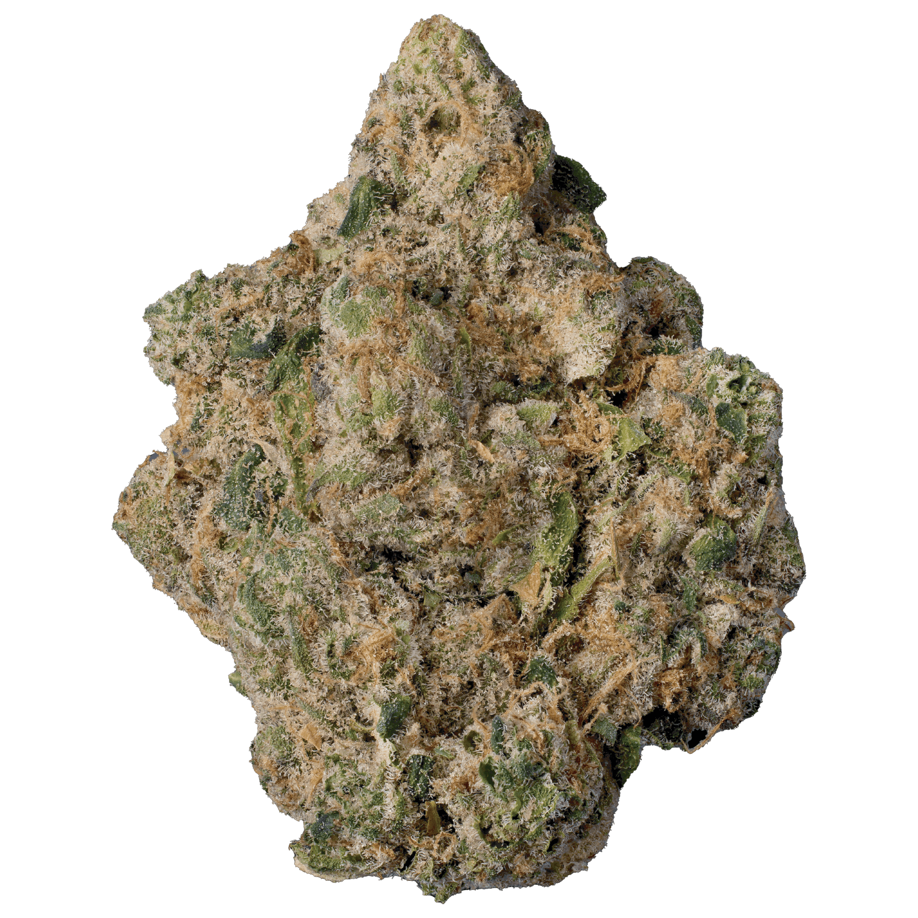 Modern Flower x Seed Junky | Lemon Cherry x Cap Junky - Modern Flower