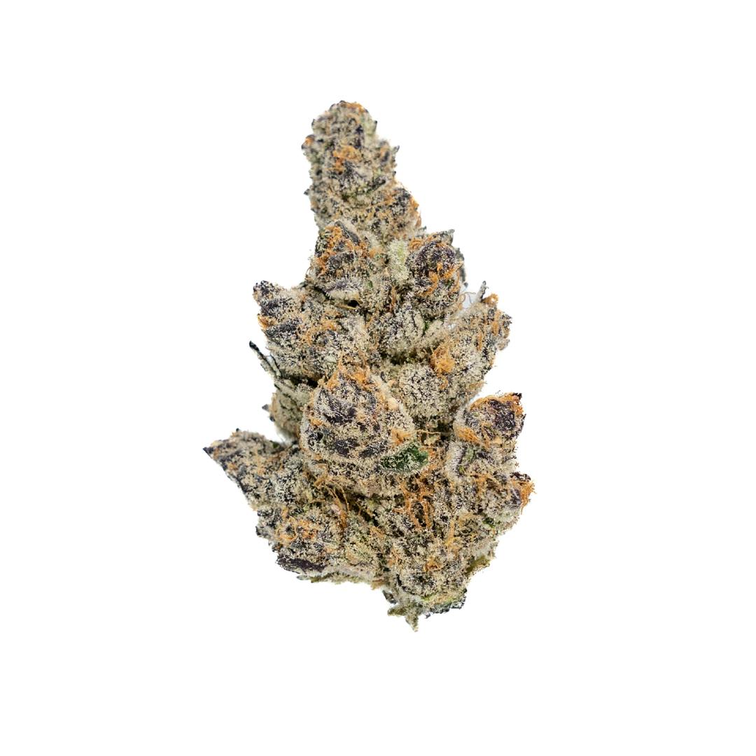 Flower Cherry Potter