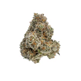 Flower - Space Cowboy (H)