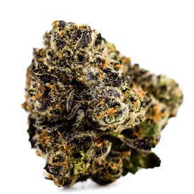 PURPLE PANTY DROPPER