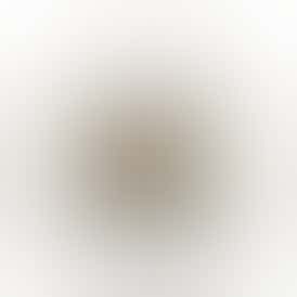 Purple Crack Dog Walker