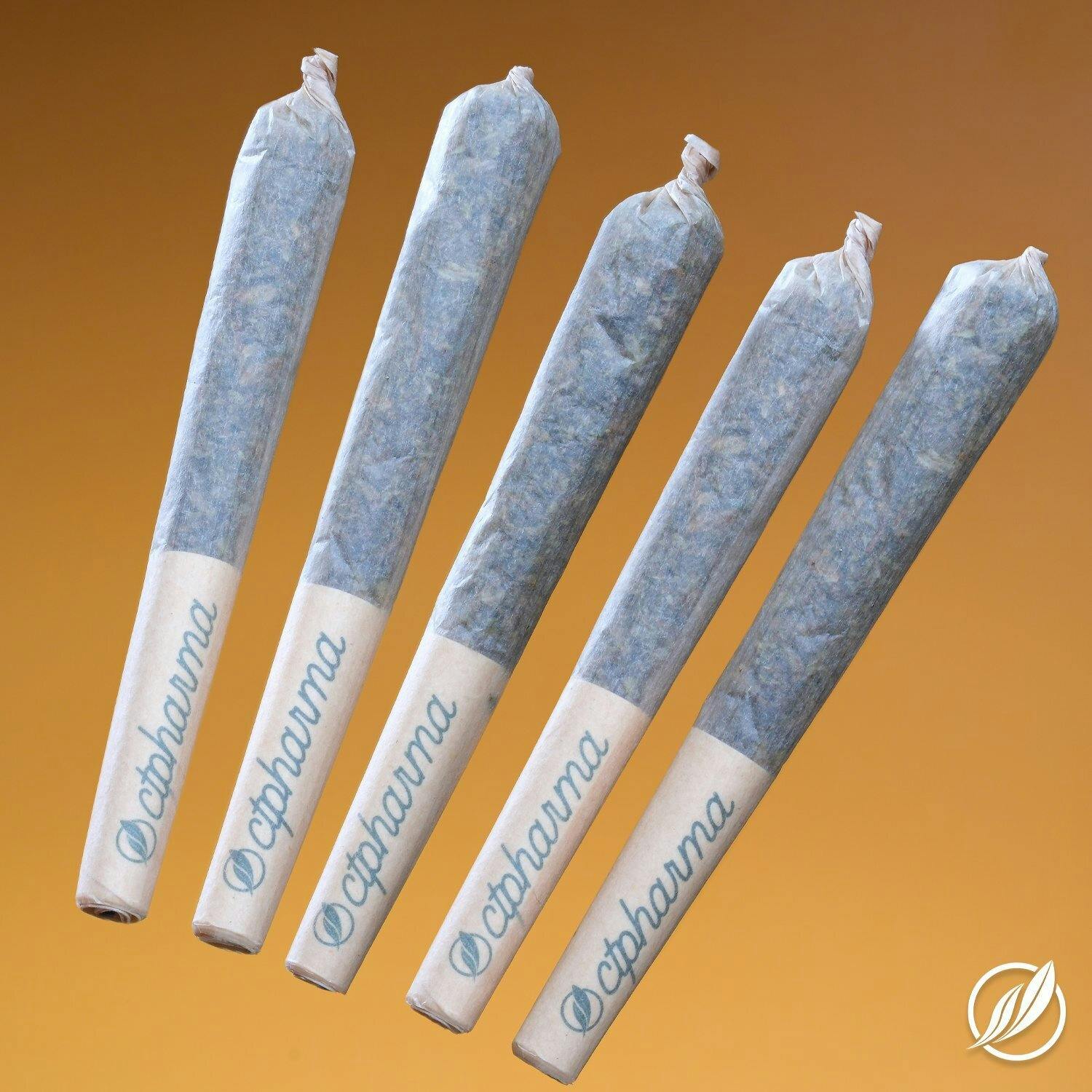 Diesel Train (Garciaven) Shorties 2g