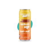 Ayrloom | "UP" Half + Half  | 2:1 Cannabis Infused Beverage