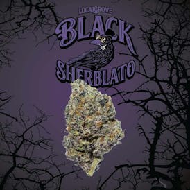 Local Grove Deli Style Flower | Black Sherblato