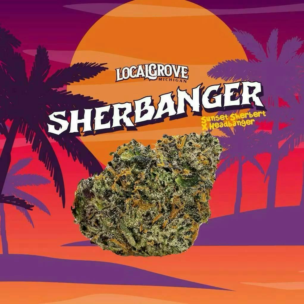 Local Grove | Sherbanger #22 | Big Buds