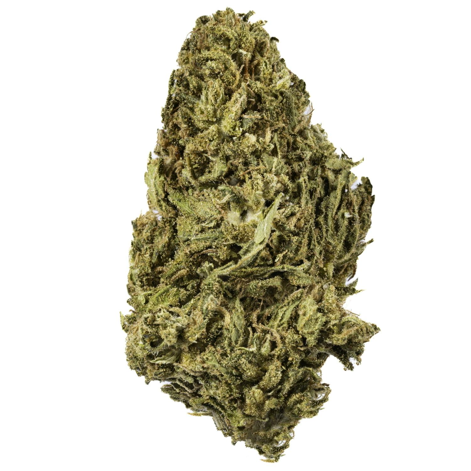 Laughing Gas - 28G Premium Flower