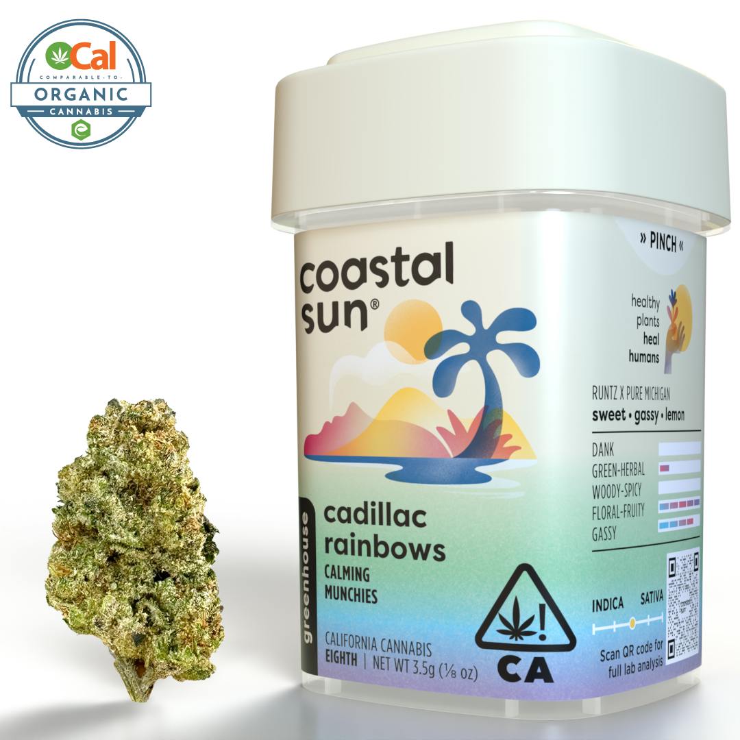 Coastal Sun — Cadillac Rainbow