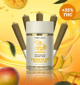 5pk(3G) Tropical Mango / THCa Diamond infused Joint