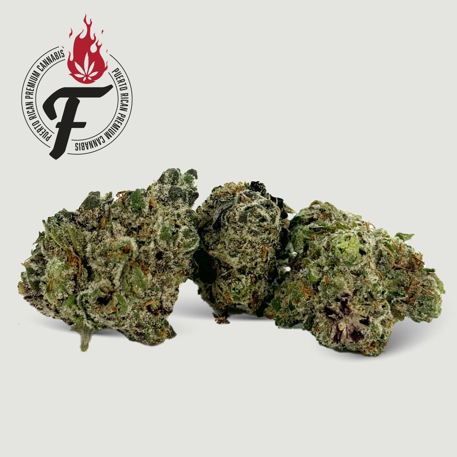 Jamaican Jet Fuel - Fuego
