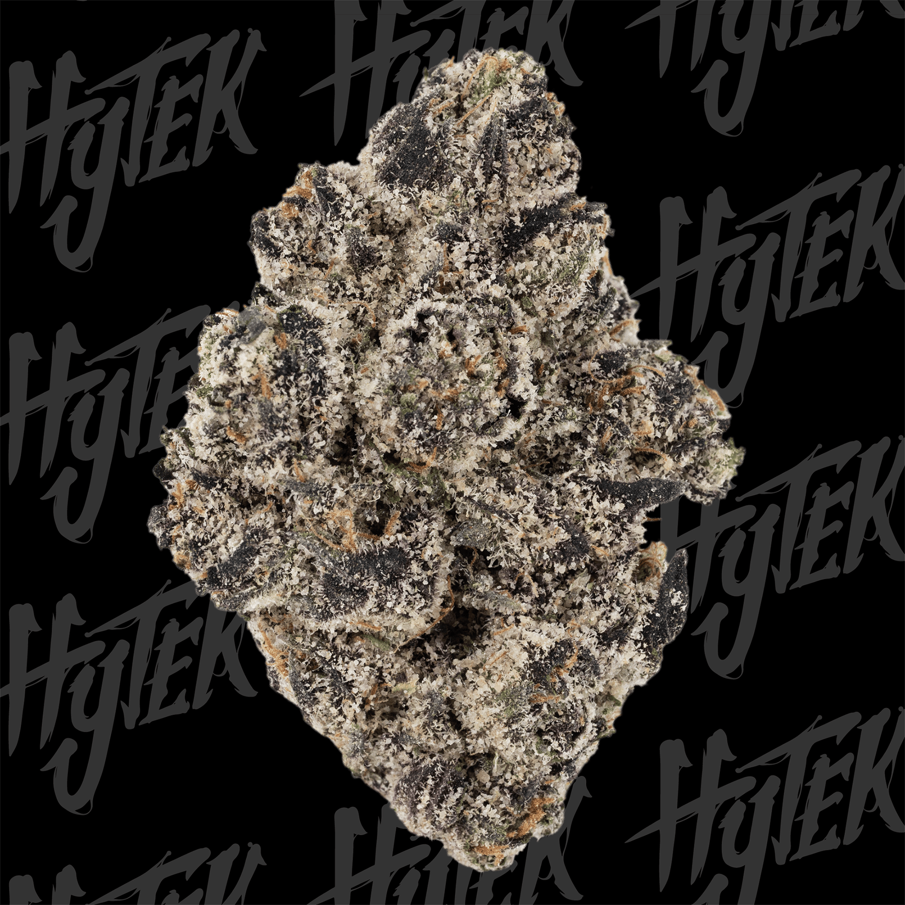 HYTEK | POPZ 41 | BULK DELI FLOWER