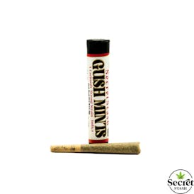 Secret Stash | Full Bud Pre Roll | Gush Mintz | .5g