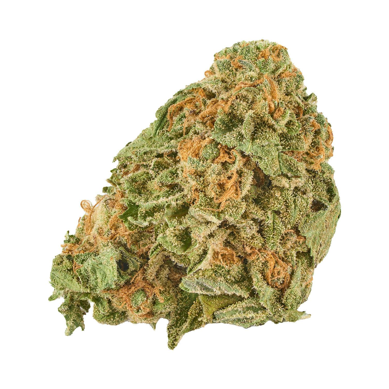 Grand Daddy Purps