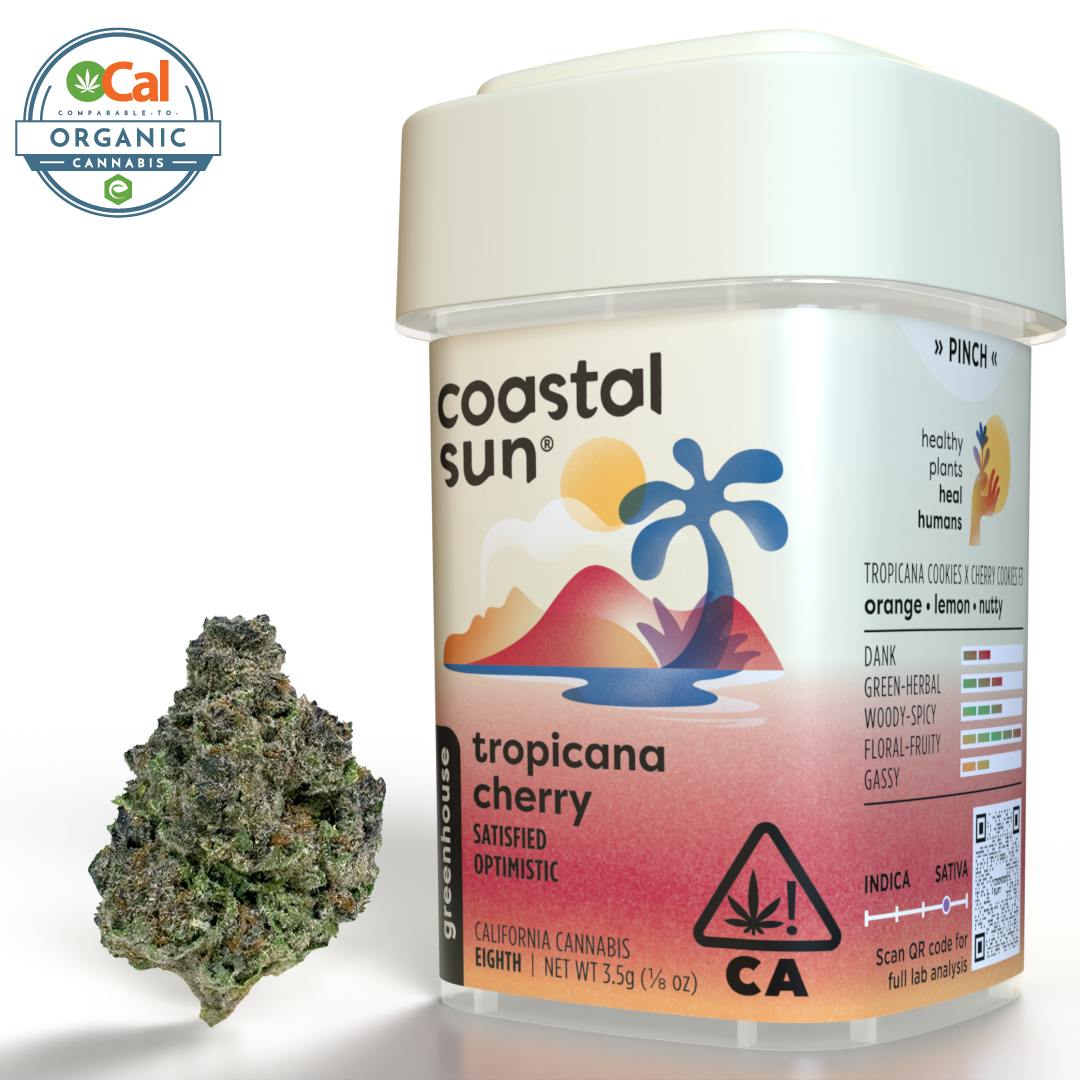 Coastal Sun — Tropicana Cherry