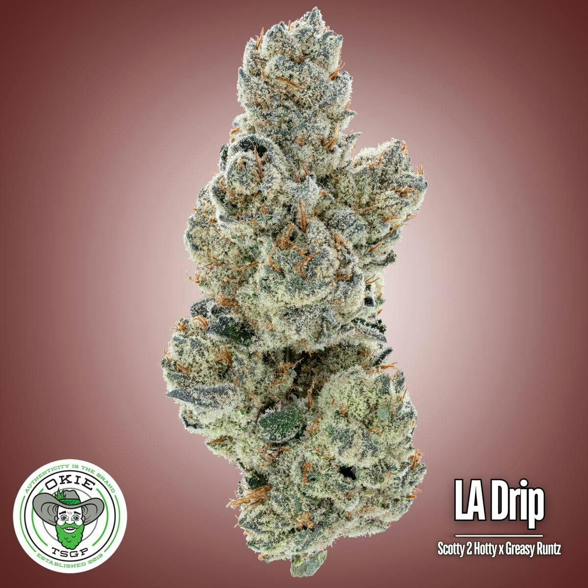 THC パロディ rare LLICA marijuana USA製 green-nursery-northern-lights-