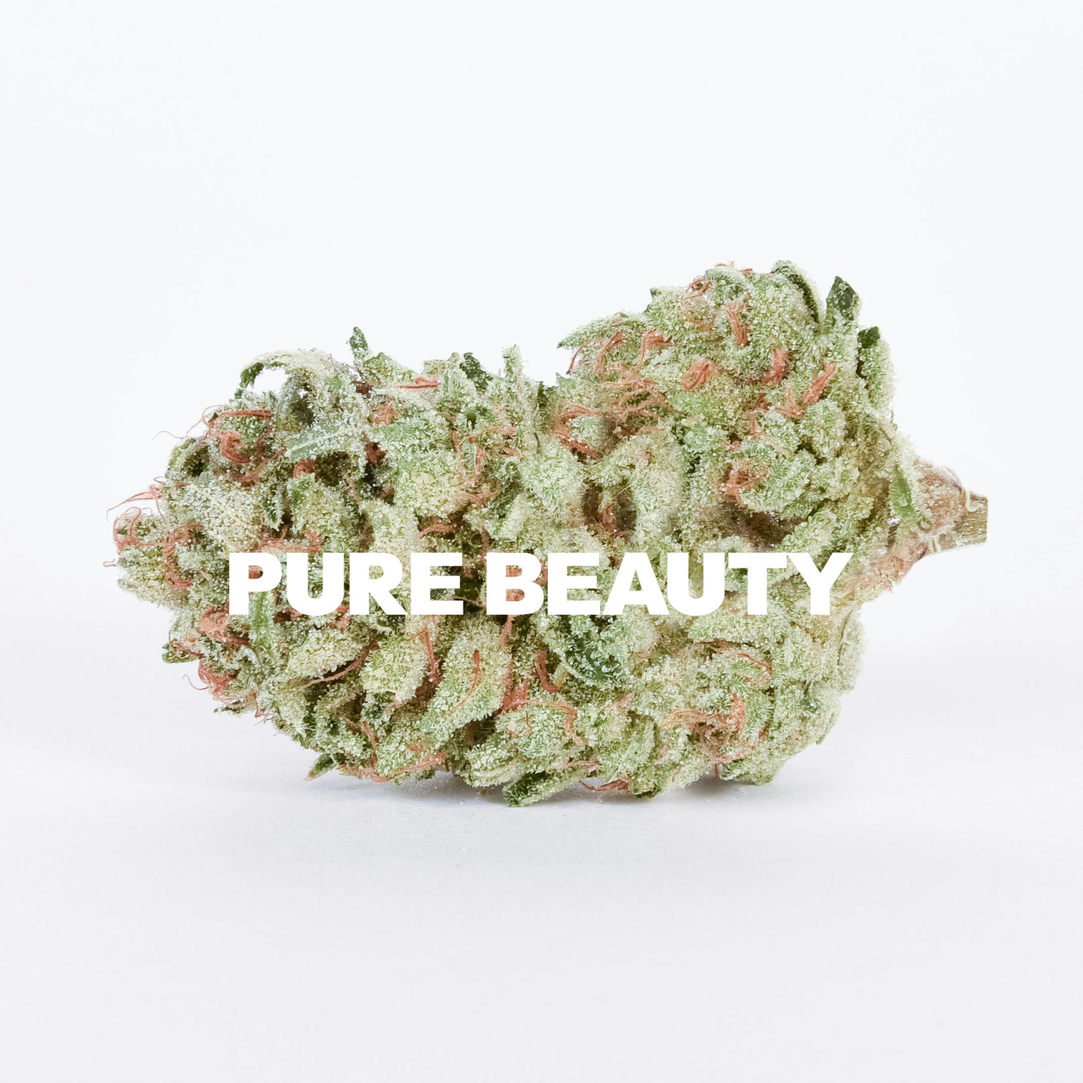 Pure Beauty — Strawberries & Durban