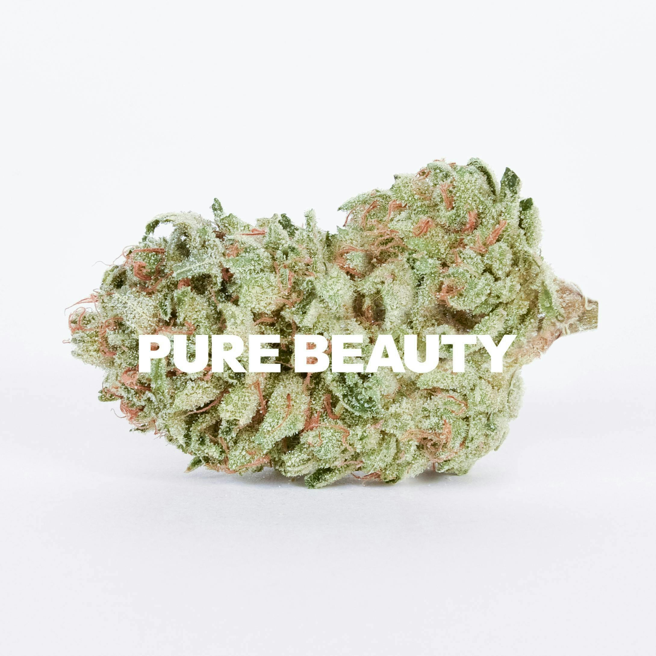 Pure Beauty: Strawberries & Durban