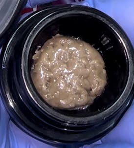 Live Rosin - Squid Ink